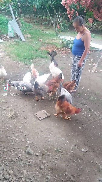 como cuando visitó ami abuelita ella cojiendo el gallo más grande para mí 🤩 mi segunda madre 😍 gracias por existir abuelita de mi ❤️🫂👵🏻