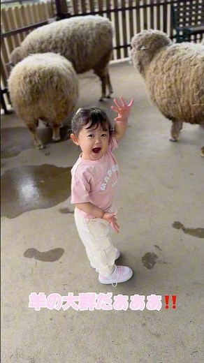 初めてのマザー牧場🐏 #２歳#マザー牧場#日常#おでかけ