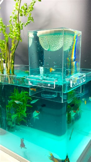 Shannon@aeroaquarium | Starting with disaster... But the ending was worth the mess! 🤦‍♂✨ Who else has had a ”water disaster“ setting up their tank? Raise your... | Instagram