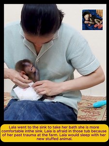 Bathing Time Baby Monkey Relaxing In Water | Best Videos