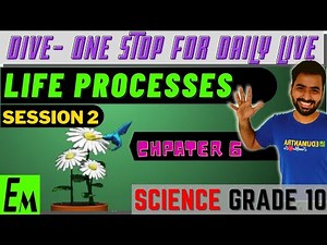 LIFE PROCESS - SESSION 2 || SCIENCE CHAPTER 6 || CLASS 10 DIVE SESSION
