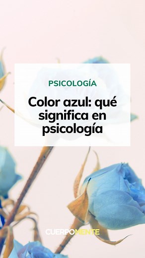 🩵🦋🌊El azul es el color del cielo y del mar, y está, como ellos, cargado de simbolismo. Aquí repasamos su poder psicológico, así como qué significa y transmite en diferentes ámbitos. #azul #psicología #colorazul #mundoazul | Cuerpomente