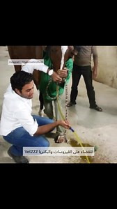 44K views · 952 reactions | VET 222 order now #vet222 | Hatem Settin | Facebook