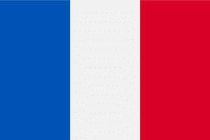 Boxes for pineapples | The best packaging to export your pineapples