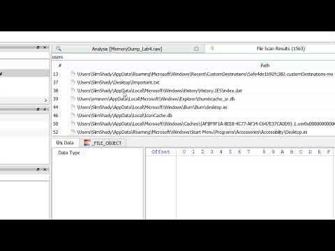 Memory Challenge 8: MemLabs Lab 4 - Obsession