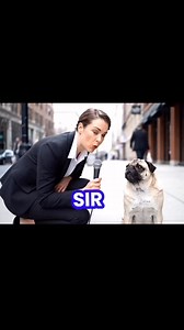 119K views · 3K reactions | Interview with a pug  #pug #funnyreels #puglife | Pug Philosophy | Facebook