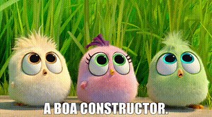 adf65a76-67e8-49fd-88cd-2d589a310ba2