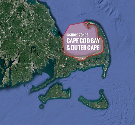 Cape Cod Bay Fishing Report