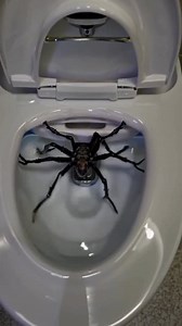 703K views · 4.5K reactions | Time to take a dump in paper bags from now on  | BIG LIAM | Facebook