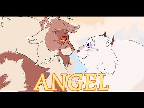 Angel - [Thistleclaw/Snowfur]