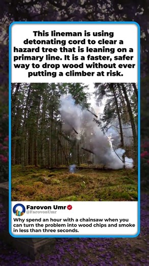 BEST WAY TO CLEAR POWER LINES