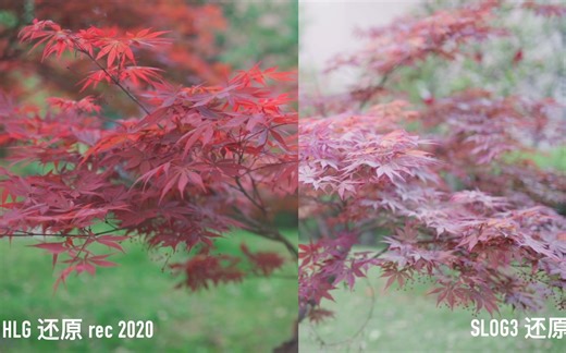 HLG 还是 S-log，怎么选择？你喜欢哪一边？【hlg】【slog】