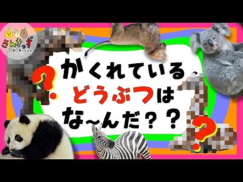 【子供向け 動物クイズ】かくれている どうぶつはな〜んだ？どうぶつクイズ全12問☆パンダ ライオン ぞう など人気の動物たちが大集合◎何問正解できるかな？【動物 知育動画】