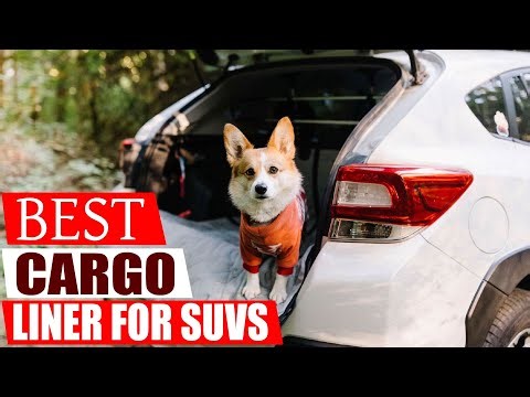 Best Cargo Liner for SUVs 2026: Top 5 SUV Trunk Mats Reviewed (Tested!)