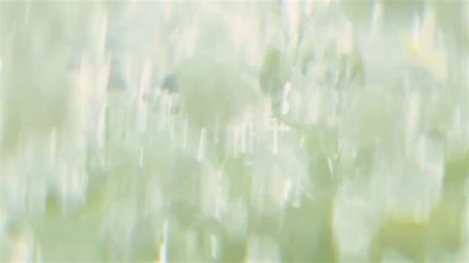 Cutwater Spirits Lime Margarita TV Spot, 'Perfectly Mixed Cocktails' Song by Aaron Frazer