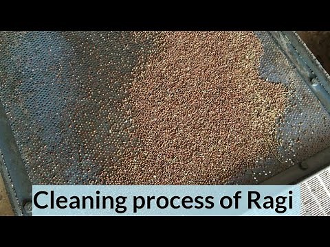 Cleaning process of Ragi (Finger Millet) in Flour Mill