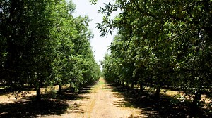 43K views · 35 reactions | It's National Pollinator Week in the U.S....