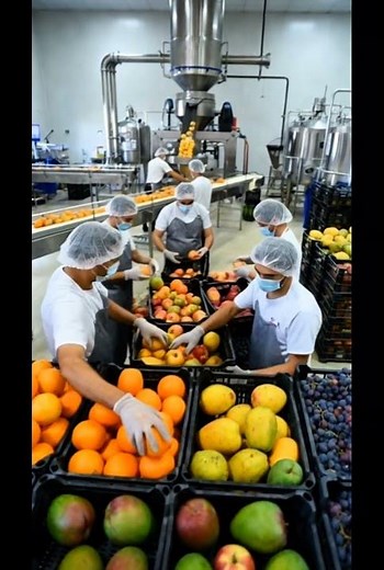 How Juice Is Made in a Factory