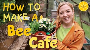 How (and why) do bees sting?