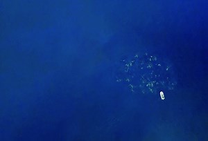 35K views · 350 reactions | Bluefin Tuna On The Fly Shit by BFT Média in the South West of France. Film will be presented at the RISE Fly Fishing Film Festival. The DVD is available: https://bft-media.com/produit/bluefin-tuna-on-the-fly-dvd-version-hd/ | Hardy Fly Fishing | Facebook