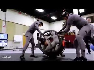 The Hobbit - The Making Of Bombur Bouncing Barrel Scene