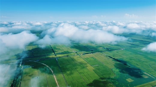 In the third episode of "Better China, Better Life," we explore how China is taking good care of the land and the black soil to achieve green and high-quality development in the Beidahuang region. http://www.china.org.cn/china/2024-08/08/content_117356355.htm | China.org.cn