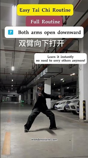 easy taichi routine 🌀 This Tai Chi Move Looks So Cool—and It’s Easy to Learn! 🔥 #kungfu #chentaichi