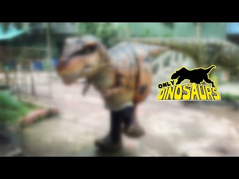 Realistic T-Rex Costume with Crystal Eyes