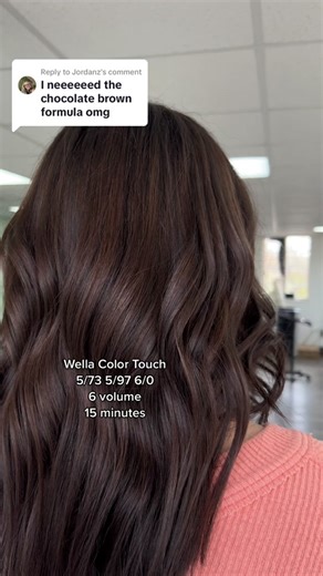 Chocolate Brown Hair Color Transformation with Wella Color Touch