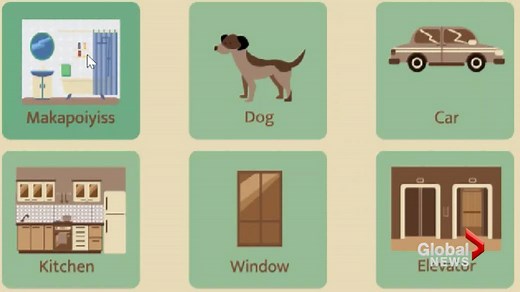 Blackfoot language taught through app