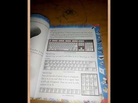 Class 2 Computer lec#19. #educationforall#schoollectures#learning