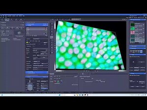 How to do Z-stack (focus on screen) #zeiss #microscope #fluorescencemicroscopy