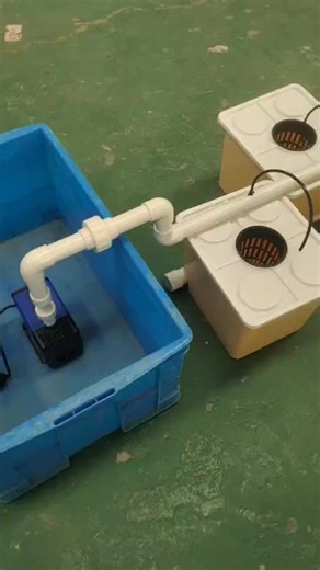 Whole Set Dutch Bucket Tomato Growing System Hydroponic Dwc Dutch Bucket Hydroponic Grow System Kit