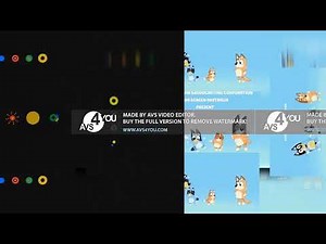 11 shuric scans with slides