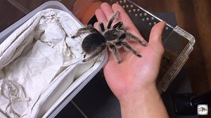 2.1M views · 28K reactions | Okay guys, nag-upload ako ng feeding...