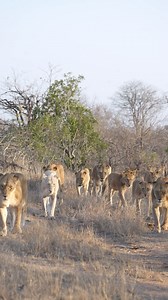 378K views · 12K reactions | The Birmingham pride move down towards...