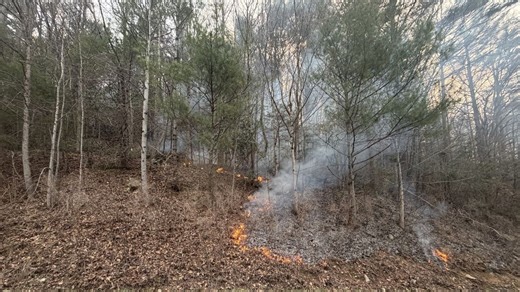 Poplar Fire burns 343 acres, reaches 40% containment in Mitchell County