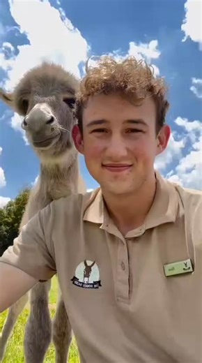 8.5K views · 207 reactions | Behind the scenes cuddles with Bees!珞𢡊 | The Donkey Dairy | Facebook