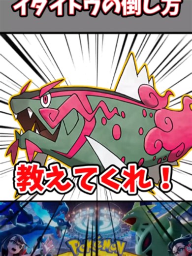 みんなのイダイトウ対策と使い方を教えてくれ ポケチャン pokemonchampions ポケモン ポケモンチャンピオンズ