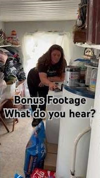 Bonus Footage From Chincoteague Island