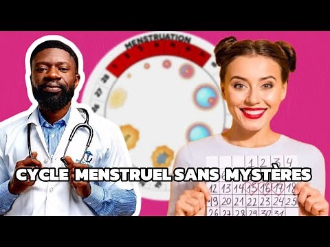 Maîtrisez votre cycle menstruel comme une experte : le guide complet | Cycle Régulier