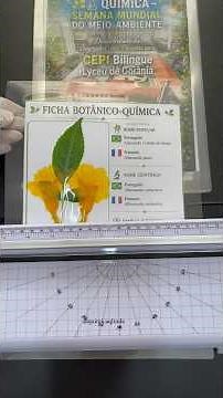 🌿🧪 CHEMISTRY PROJECT – WORLD ENVIRONMENT WEEK #education #experiment #chemistry