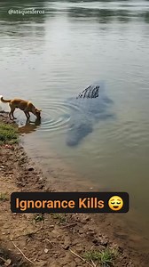 Avoid Ignorance 😌 | FA JUMAH