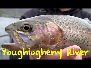 Youghiogheny River Trout Fishing