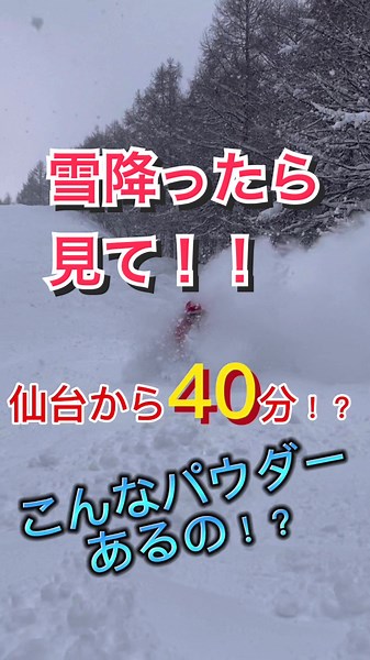仙台から40分で着くゲレンデなのにこんなにパウダーあるのはやばいですよね！！！ 雪情報見ながら是非最高のパウダー楽しみにきてください🏂 #スノーボード #スノーボード初心者 #リフト降り方 #スプリングバレー #スノーボード女子
