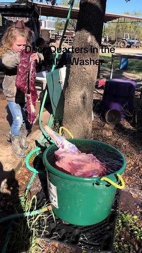 Ellis helping clean her brothers deer. The Jumbo Washer gets the nlood , debris and hair off. Meat is ready to take to the processor#gamewasher #cowboyswildgamewasher #christmasgift #hunting #deerleaselife #deerhunting #jumbowasher #cowboysjumbowasher #cleaningdeer #cleaningdeermeat#bassproshops #cabelas