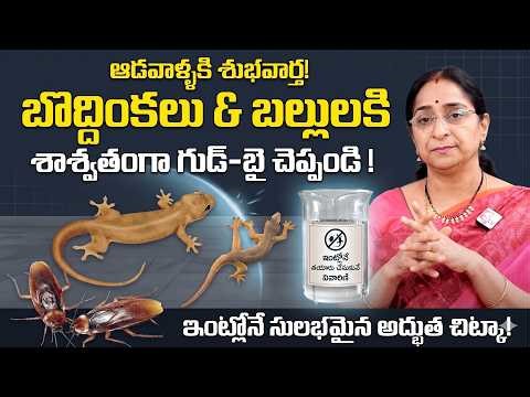 Best Ways To Remove Cockroaches From House | Powerful Tips by Ramaa Raavi