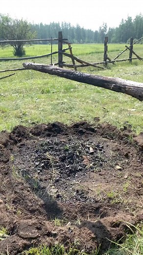 8.6K views · 186 reactions | Fire wood cooking 2 | YTE11 | Facebook