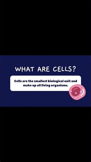 Cells 101: Why You’re Made of Trillions of These! | The Secret Life Inside Your Body 🔬 | #cell #bio