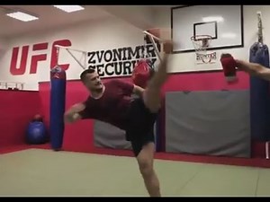 Fight Night Krakow: Gabriel Gonzaga vs. Mirko Cro Cop - The Sequel